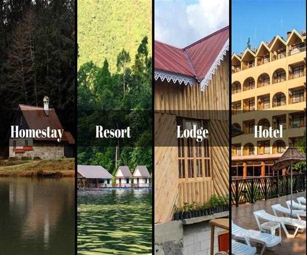 Resort vs Homestay vs Hotel
